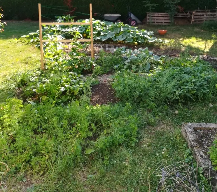 Potager